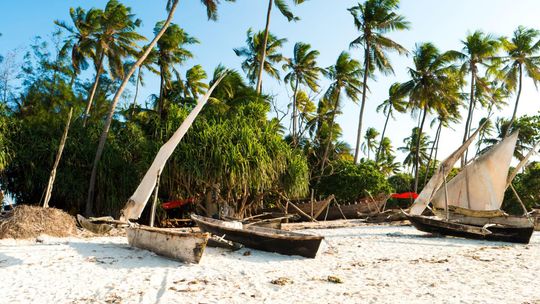 Zanzibar - co musisz wiedzieć przed podróżą?