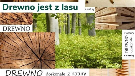 Zapisy tylko do dziś. Festiwal drewna, czyli spotkanie z niezwykłym surowcem i... niepokorną stolarką