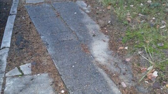 Zapominalski wiceburmistrz