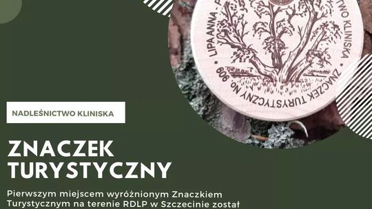 Zapraszają na lekcje o lesie w czasach koronawirusa