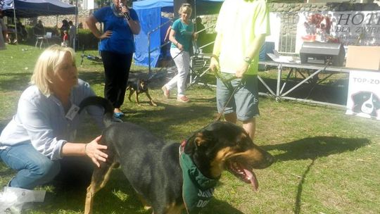 Zapraszają na pełen atrakcji piknik z psem