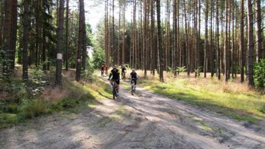 Zapraszają na rajd po lesie