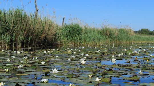 Zapraszamy na pierwszą tegoroczną wyprawę kajakową po Międzyodrzu