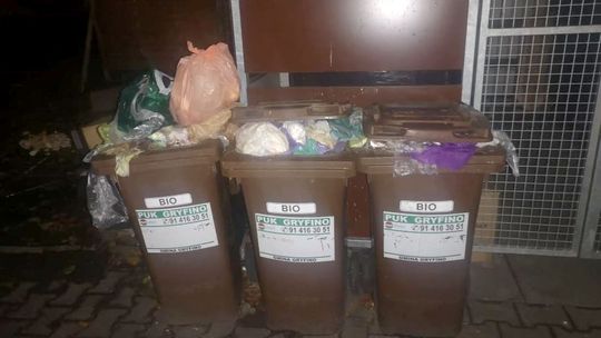 Zaproszenie dla szczurów? Zaproszenie dla szczurów?