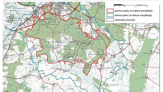 Zaproszenie na spacer po Puszczy Bukowej z wyjątkowej okazji