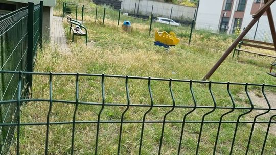 Zarośnięte aż wstyd! - zwraca uwagę czytelniczka Zarośnięte aż wstyd! - zwraca uwagę czytelniczka