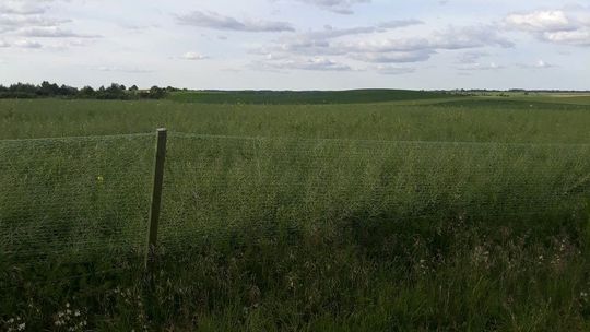 Zarzuty i ich uzasadnienie oparte jest na rzetelnych i konkretnych dowodach - uważa grupa referendalna Zarzuty i ich uzasadnienie oparte jest na rzetelnych i konkretnych dowodach - uważa grupa referendalna