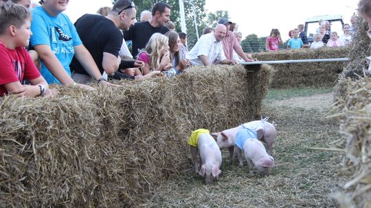 Zaskakujące miejsce wybrano na święto plonów