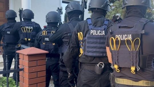 Milionowy przekręt na "studenta". Rozbito gang fałszujący dokumenty dla ZUS i PIT