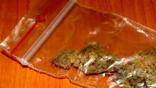 Zatrzymany za posiadanie marihuany