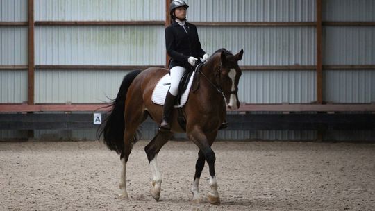 Zawodniczka Podkowy powołana do kadry województwa zachodniopomorskiego