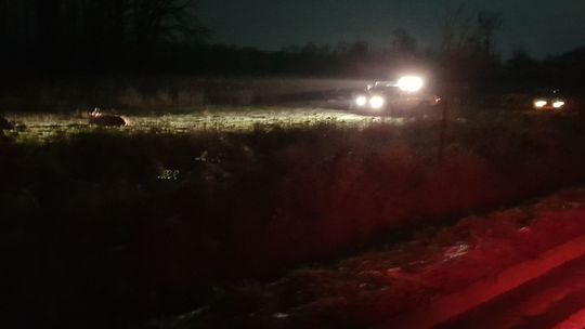 Zderzył się z jeleniem