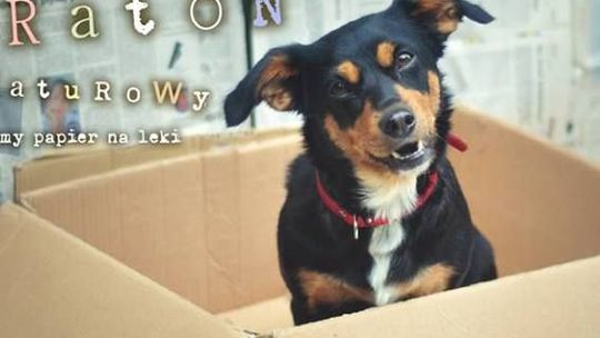 Zebrali 7,5 tys. kg makulatury