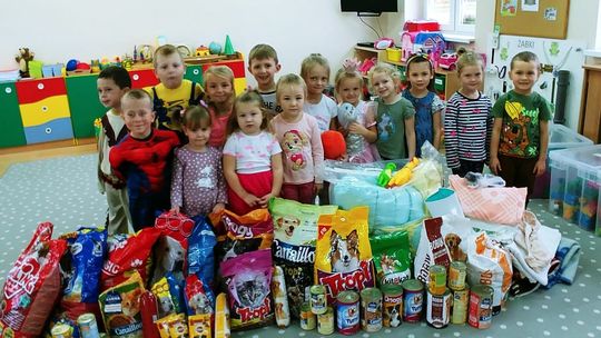 Zebrali mnóstwo karmy dla zwierząt z Kojca. Dzień Kundelka w przedszkolu Zebrali mnóstwo karmy dla zwierząt z Kojca. Dzień Kundelka w przedszkolu