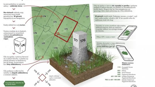Zgubiłeś sie w lesie? Nie wpadaj w panikę