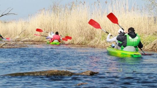 Zimowa kajakowa wycieczka po Międzyodrzu - zapisy
