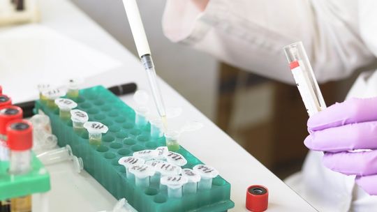 Zła sytuacja epidemiczna tam, gdzie Odra bierze początek