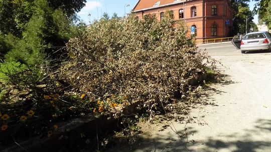 Złamał się i spadł, ale służby nadal nie reagują