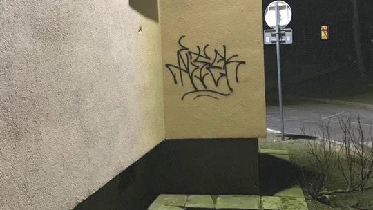 Złapali malującego graffiti. Grozi mu 5 lat więzienia