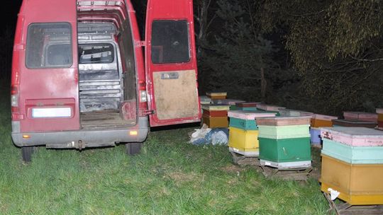 Złodziei powstrzymały pszczoły i policjanci
