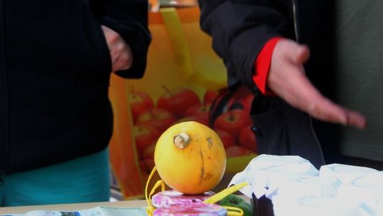 Złodziej zepsuł zabawę