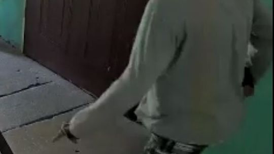 Złodzieja okradającego mieszkania nagrały kamery. Poszukiwany