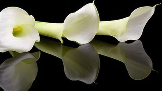 Zmarł Jacek Kalarus. Miał 55 lat