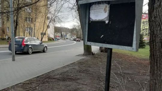 Zmarli, mając lat 53 i 74 