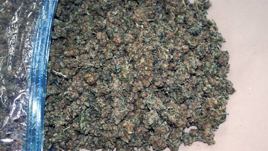 Znaleźli marihuanę, młynek i wagę