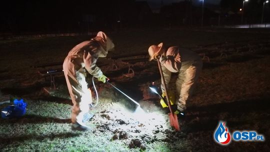 Znaleźli to na boisku szkolnym