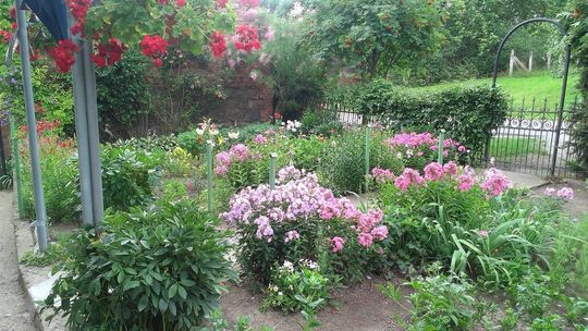 Znamy już wyniki kwiatowego konkursu