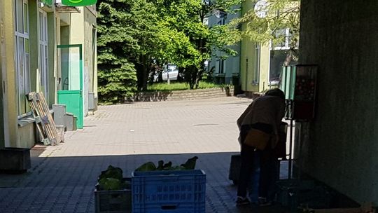 Znany gryfinianin koczuje na kwadracie