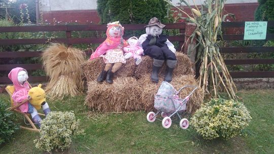 Zobacz zabawne dożynkowe witacze