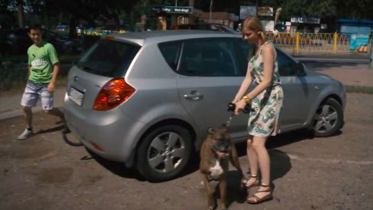 Zostawili psa w słońcu