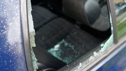 Zrobił to z zemsty czy z głupoty