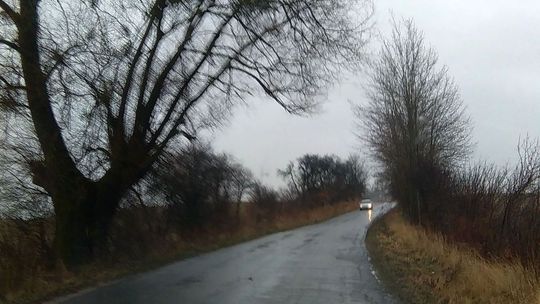 Zwisające gałęzie zagrażają