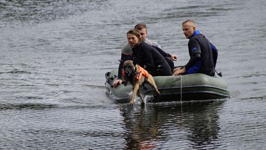 Zwłoki ludzkie wyszukuje po zapachu