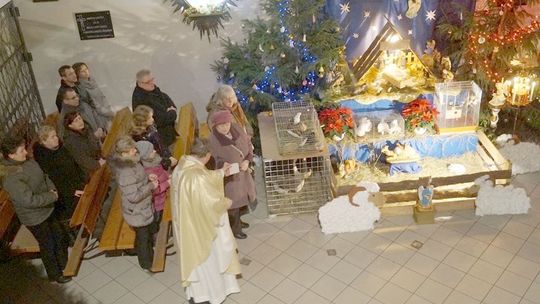 Żywe zwierzątka w żabnickiej szopce