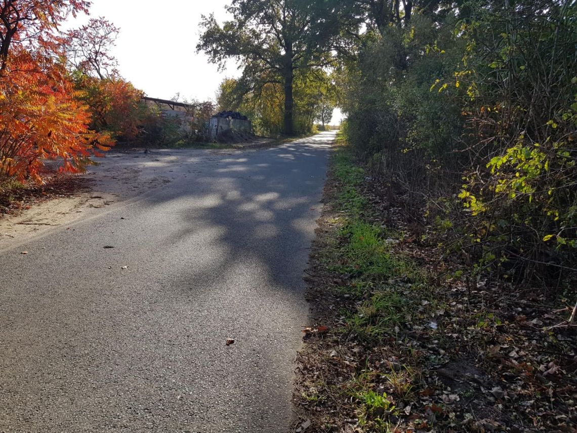 A jednak można! Odkrzaczono drogę dzięki interwencji mieszkanki i działaniom władz