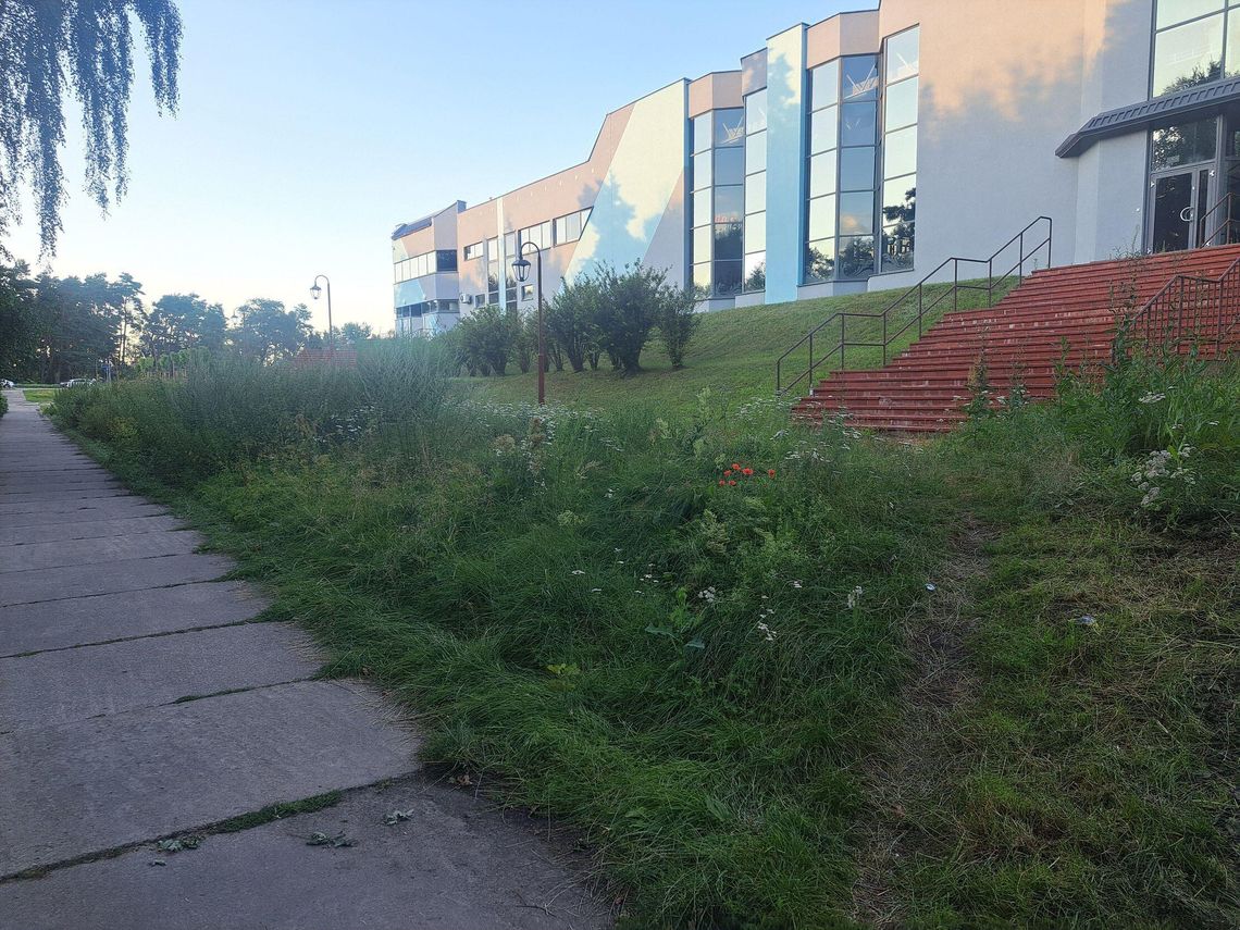 Afera o koszenie trawy przy Centrum Wodnym Laguna. Czy w Gryfinie brakuje gospodarza