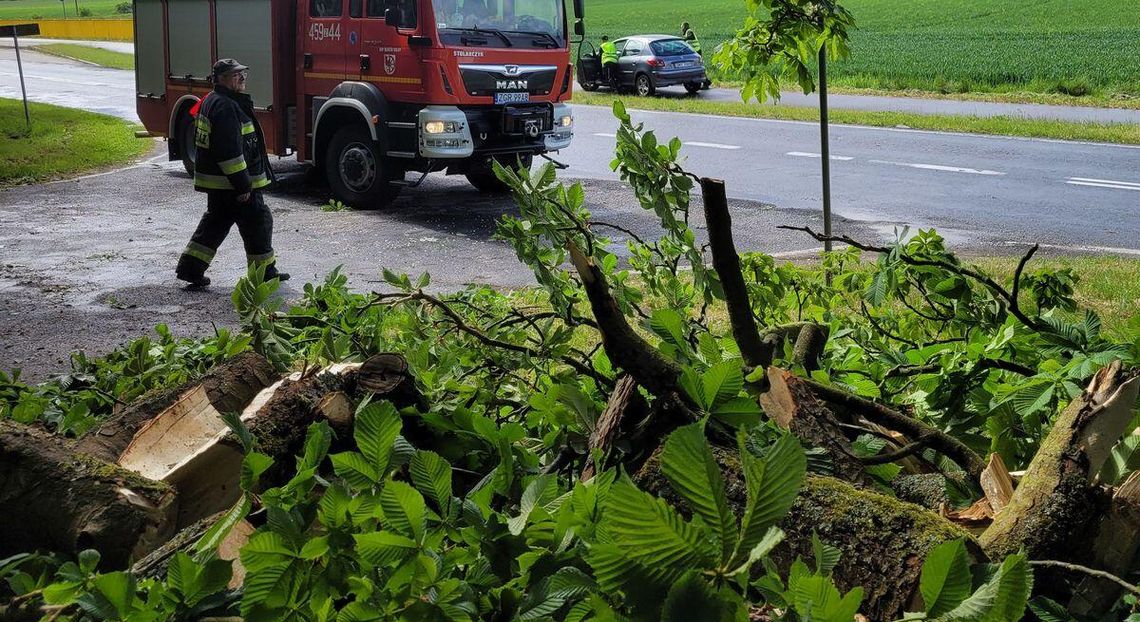 Akcje strażaków, niestety też dotyczące wypadków drogowych Akcje strażaków, niestety też dotyczące wypadków drogowych