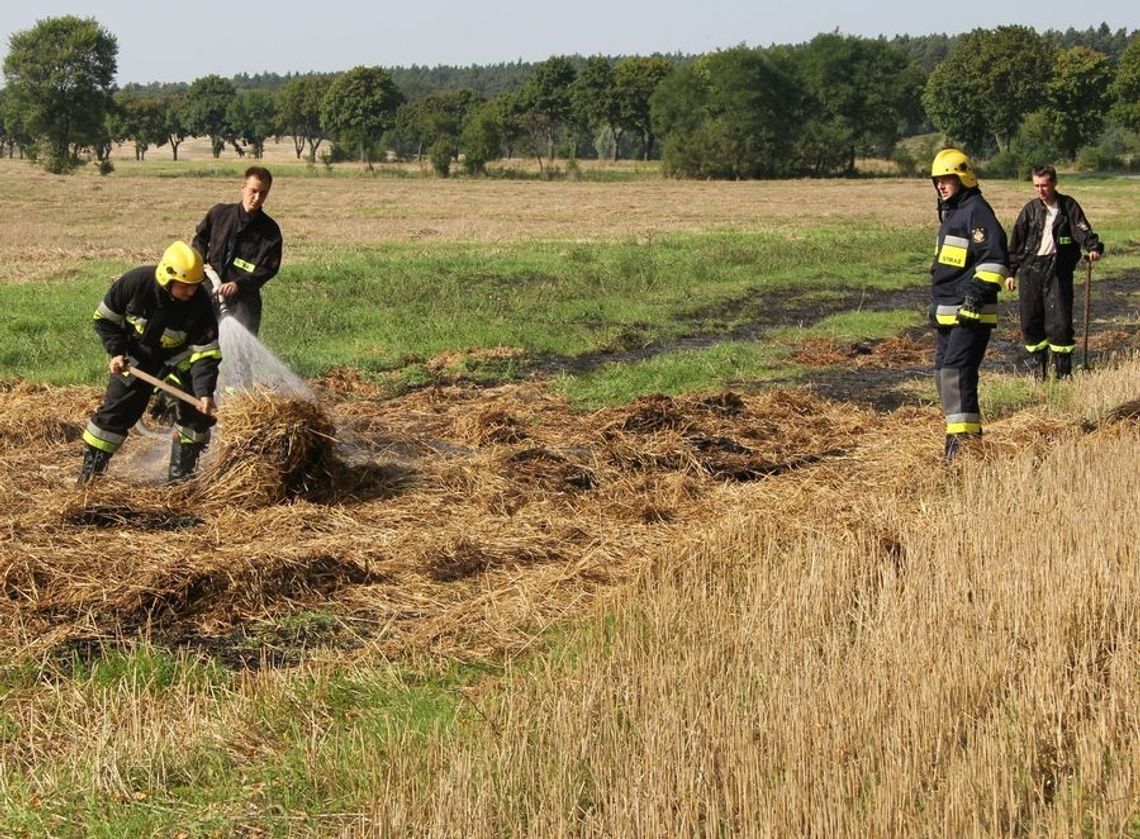 Akcje strażaków w ostatnich dniach