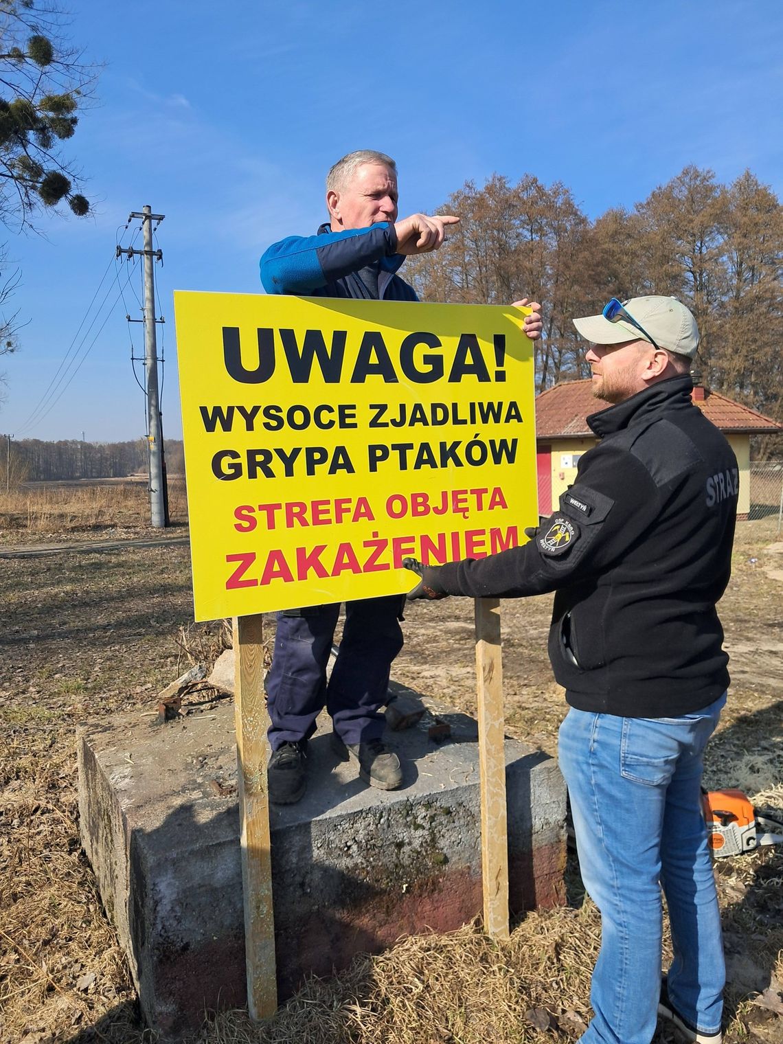 Alert w gminie Gryfino! Wysoce zjadliwa grypa ptaków
