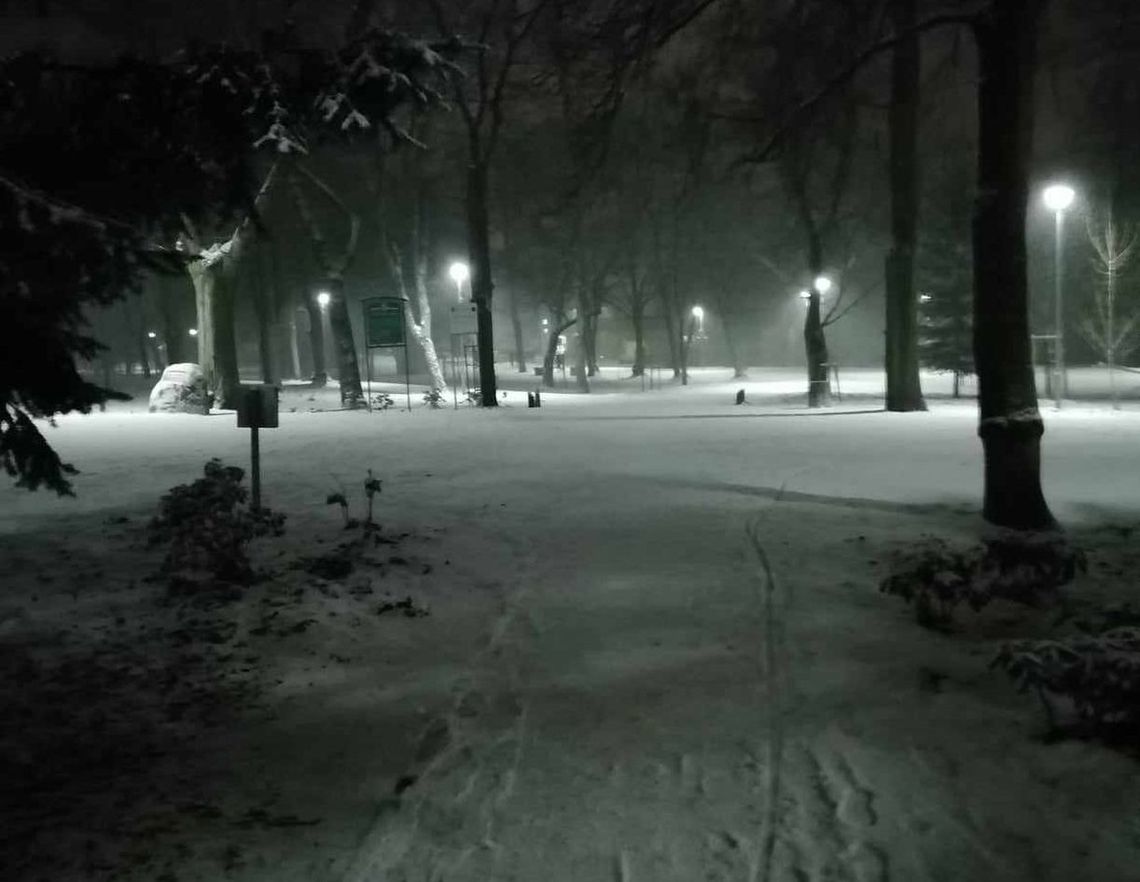 Apel do burmistrza w sprawie parku Apel do burmistrza w sprawie parku