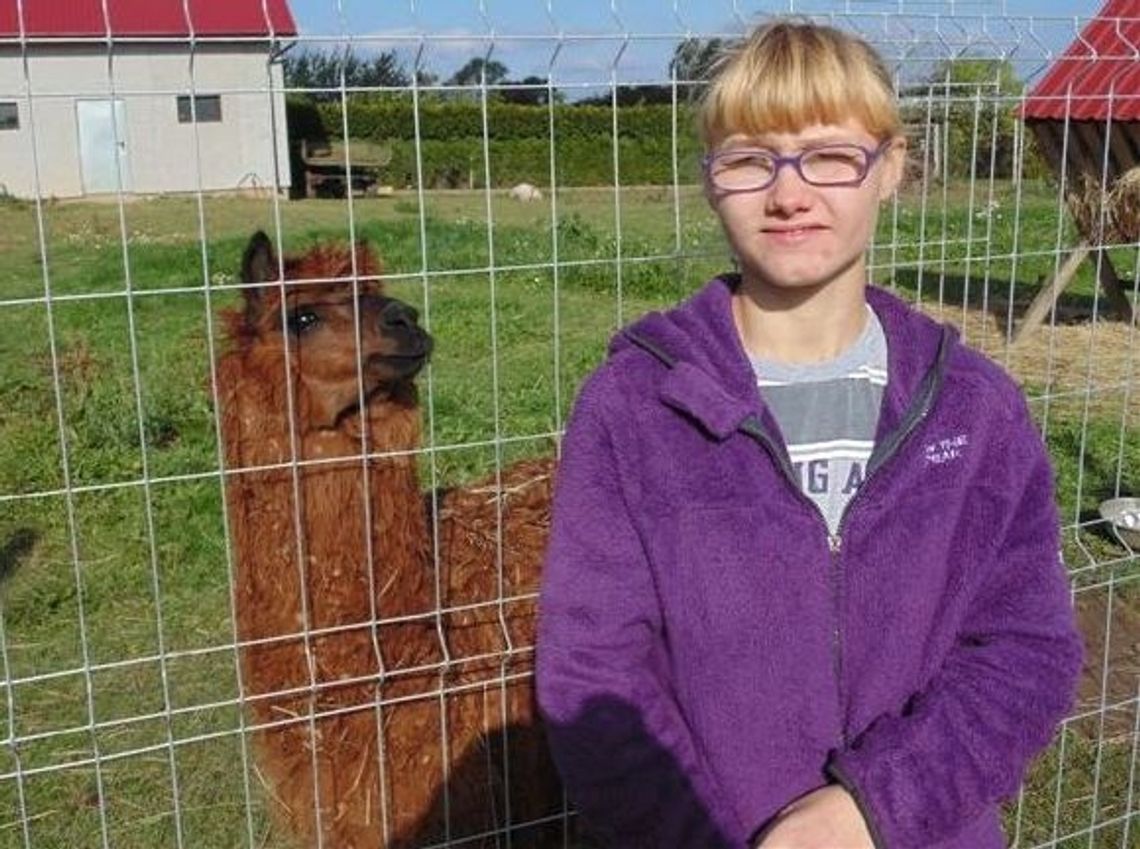 Atrakcje z egzotycznymi zwierzętami