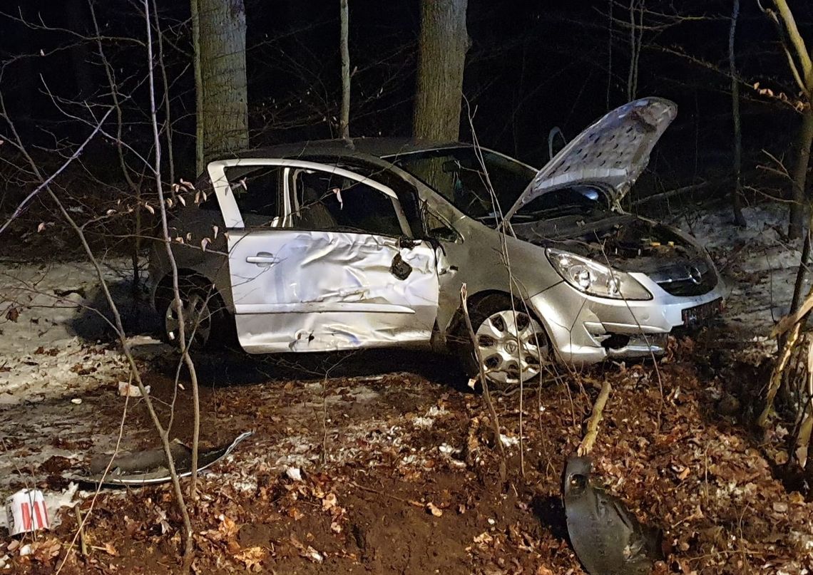 Auto wypadło z drogi i zatrzymało się w lesie Auto wypadło z drogi i zatrzymało się w lesie