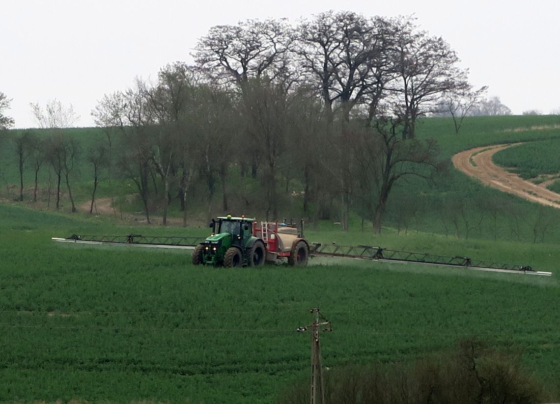 Badają zanieczyszczenia azotanami pochodzenia rolniczego Badają zanieczyszczenia azotanami pochodzenia rolniczego