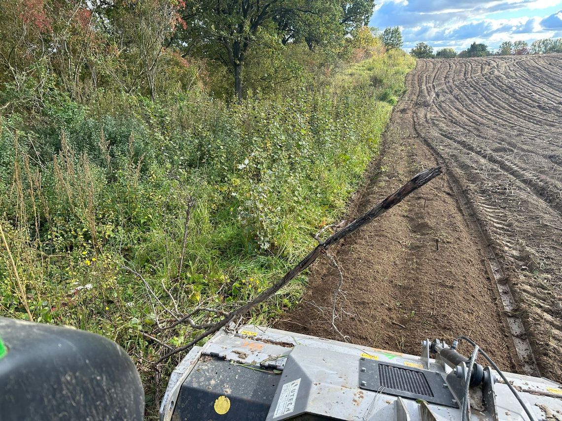 BEKAP zmienia nieużytki w działki pod inwestycje, domy i ogrody. Zamów mulczowanie terenu