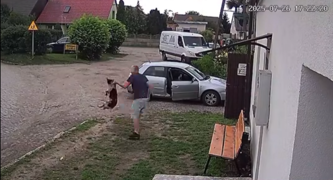 Bestialski akt przemocy wobec psa. Sprawca zgłoszony organom ścigania