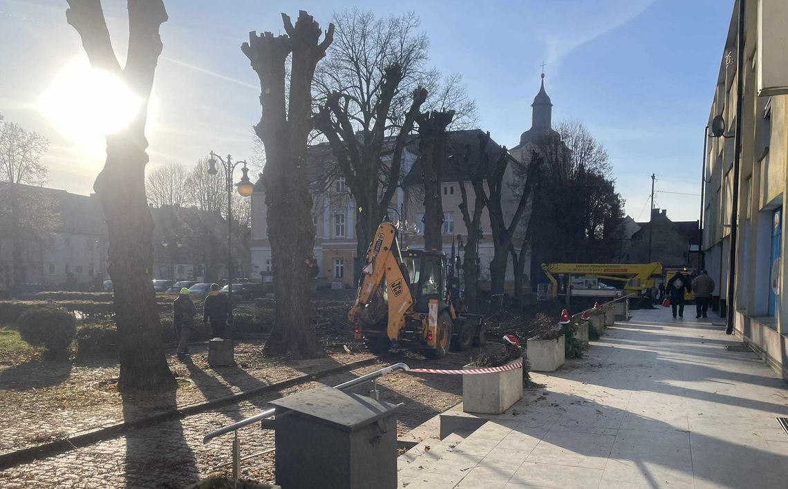 Betonowa duma czy dendrologiczny wyrok? „Rzeź” lip na rynku Betonowa duma czy dendrologiczny wyrok? „Rzeź” lip na rynku